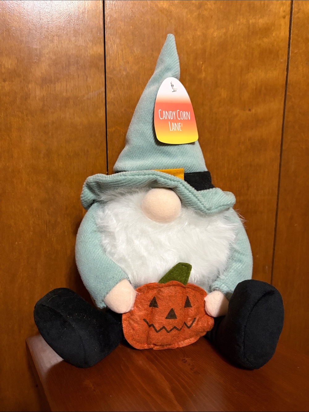 Candy Corn Lane- Mint Green Halloween Gnome with 🎃 Pumpkin. NWT.